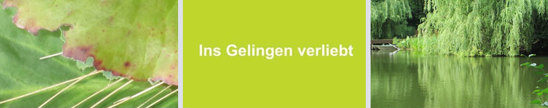 bild_Beratung